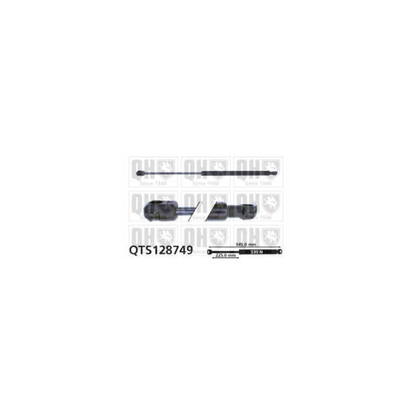 Gas Spring image