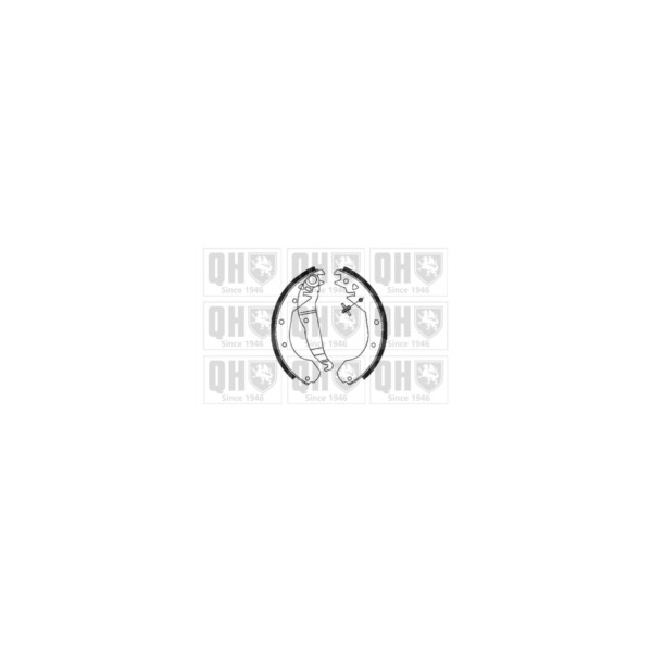 Brake Shoe Set image