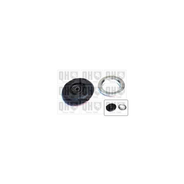 Suspension Strut Repair Kit image