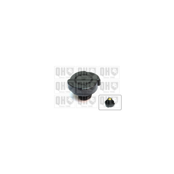 Radiator Cap image