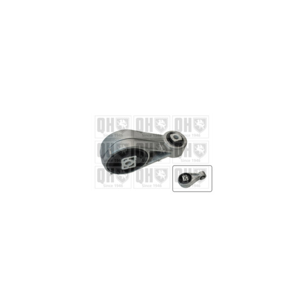 Engine/Transmission Bush/Mount image