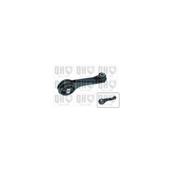 Engine/Transmission Bush/Mount image