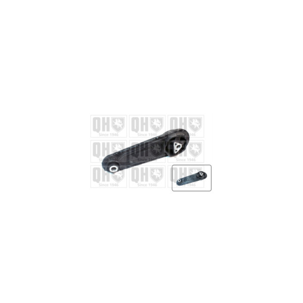 Engine/Transmission Bush/Mount image