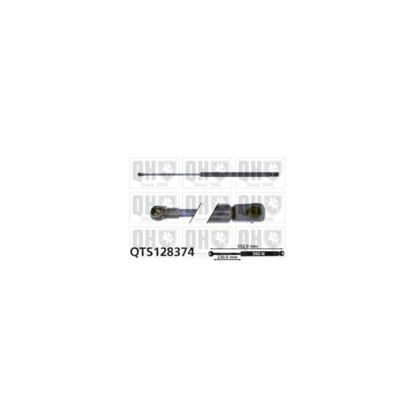 Gas Spring image