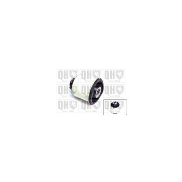 Engine/Transmission Bush/Mount image