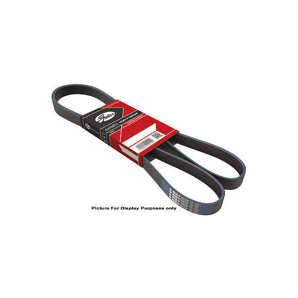 MICRO-V MULTI-RIBBED BELT image