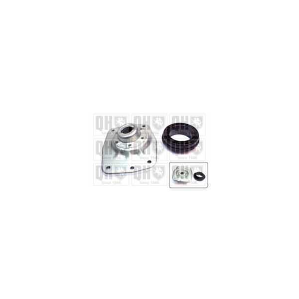 Suspension Strut Repair Kit image
