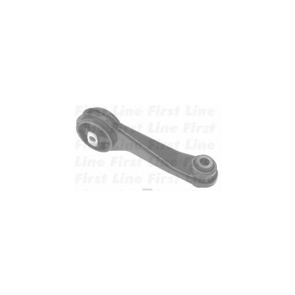 Engine/Transmission Bush/Mount image