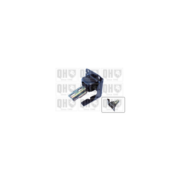 Engine/Transmission Bush/Mount image