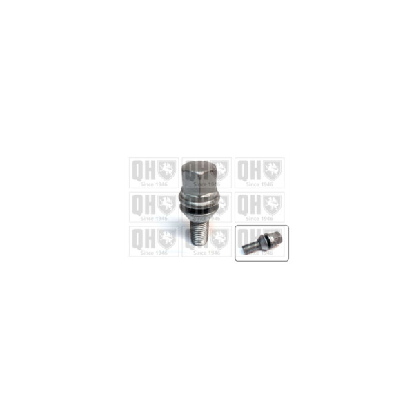 Wheel Bolt/Nut image
