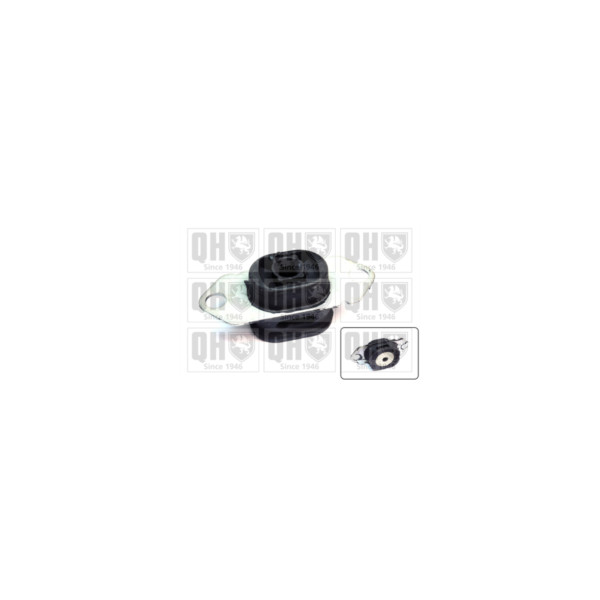Engine/Transmission Bush/Mount image
