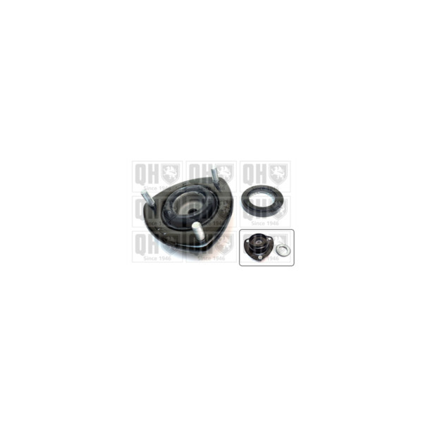Suspension Strut Repair Kit image