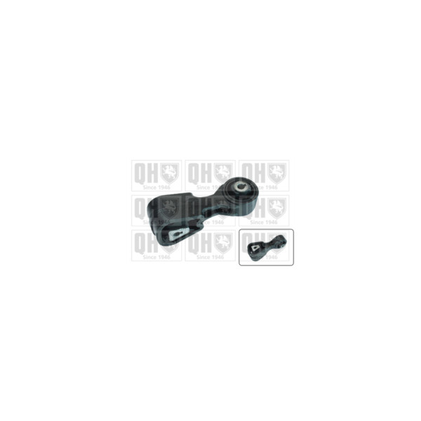 Engine/Transmission Bush/Mount image