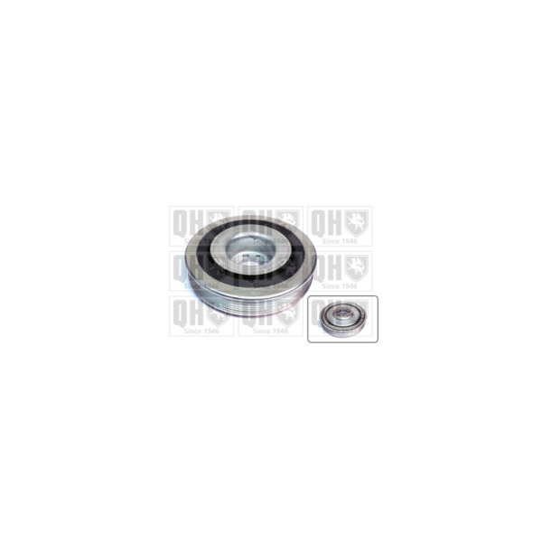 Torsion Vibration Damper image