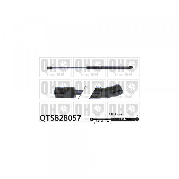 Gas Spring image
