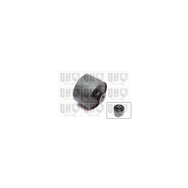 Engine/Transmission Bush/Mount image