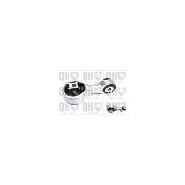 Engine/Transmission Bush/Mount image