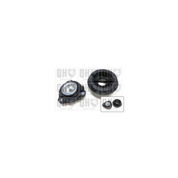 Suspension Strut Repair Kit image