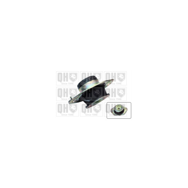 Engine/Transmission Bush/Mount image