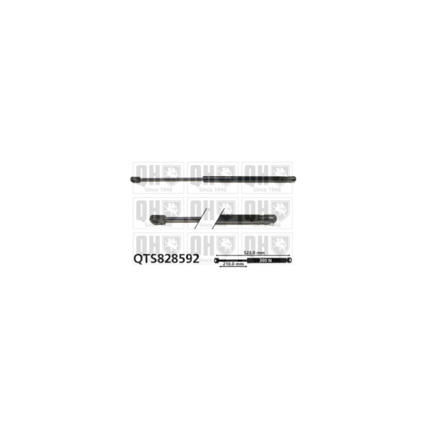 Gas Spring image