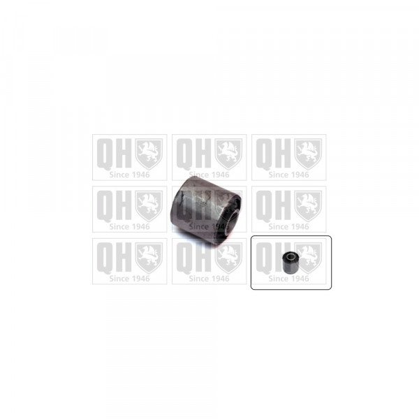 Engine/Transmission Bush/Mount image