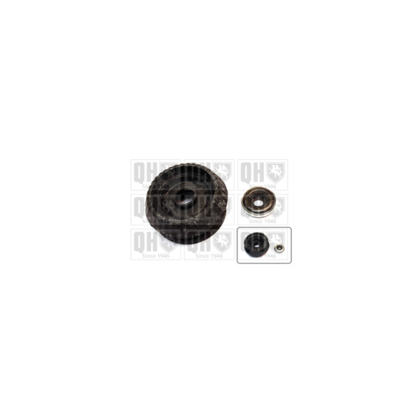 Suspension Strut Repair Kit image
