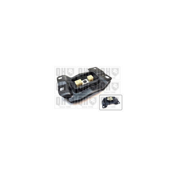 Engine/Transmission Bush/Mount image