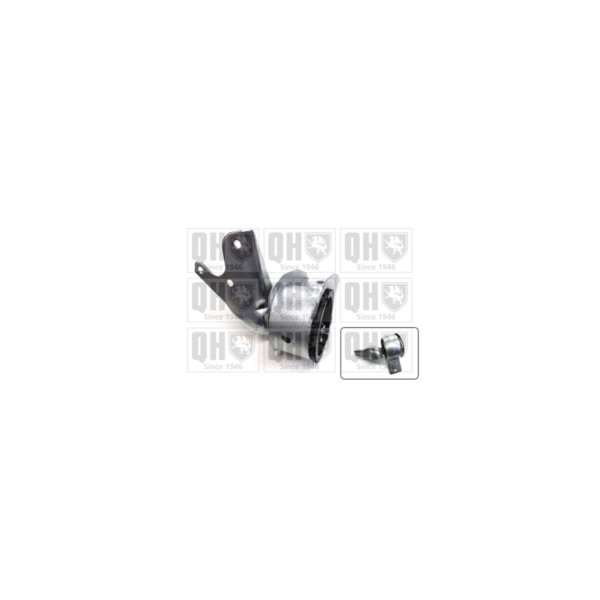 Engine/Transmission Bush/Mount image