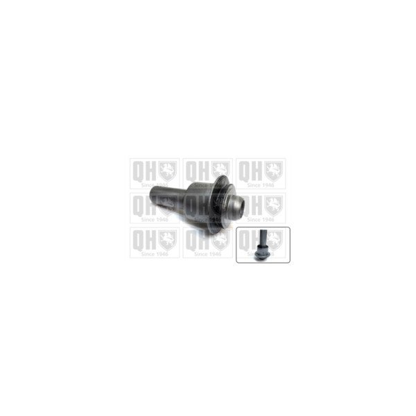 Engine/Transmission Bush/Mount image