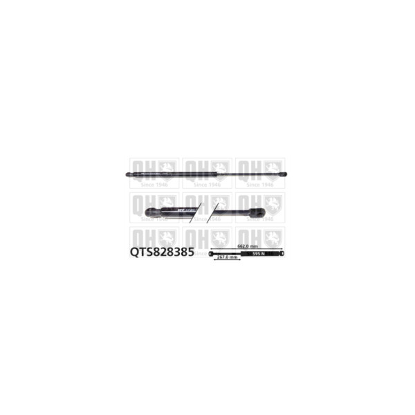 Gas Spring image