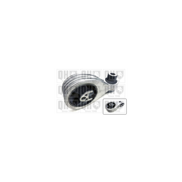 Engine/Transmission Bush/Mount image