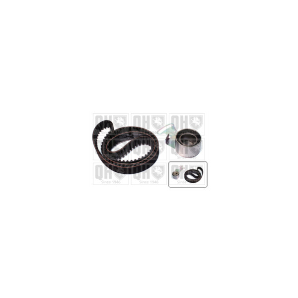 Timing Belt Kit image