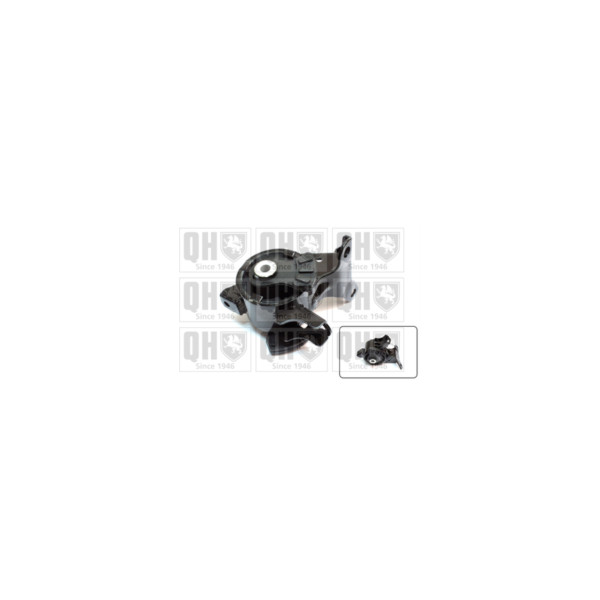 Engine/Transmission Bush/Mount image