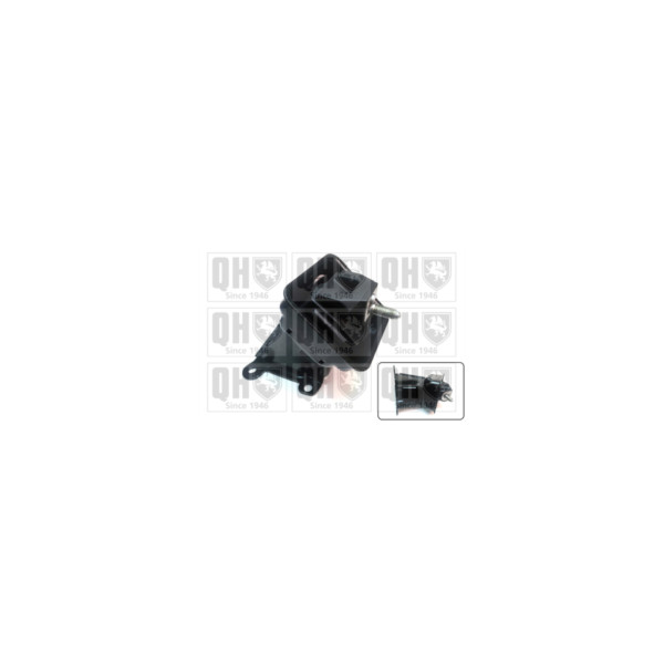 Engine/Transmission Bush/Mount image