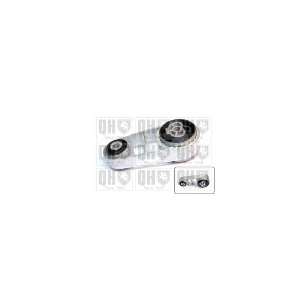 Engine/Transmission Bush/Mount image