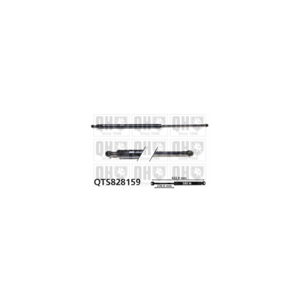 Gas Spring image