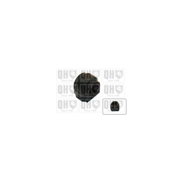 Anti Roll Bar/Stabiliser Bush/Kit image