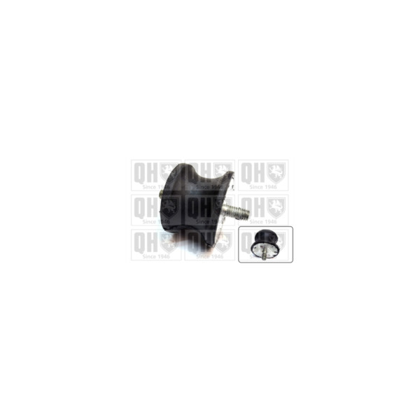 Engine/Transmission Bush/Mount image