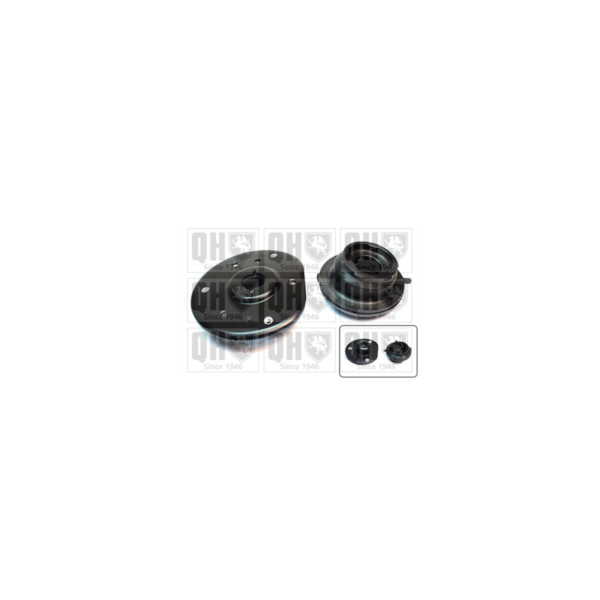 Suspension Strut Repair Kit image