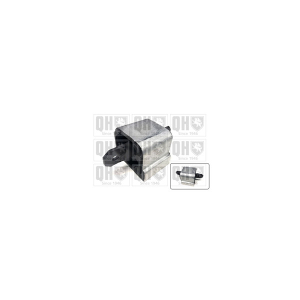 Engine/Transmission Bush/Mount image