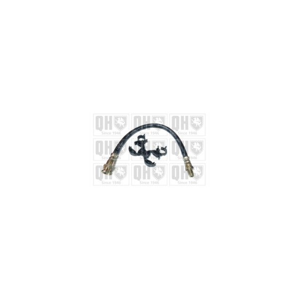 Brake Hose image