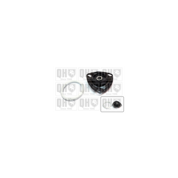 Suspension Strut Repair Kit image