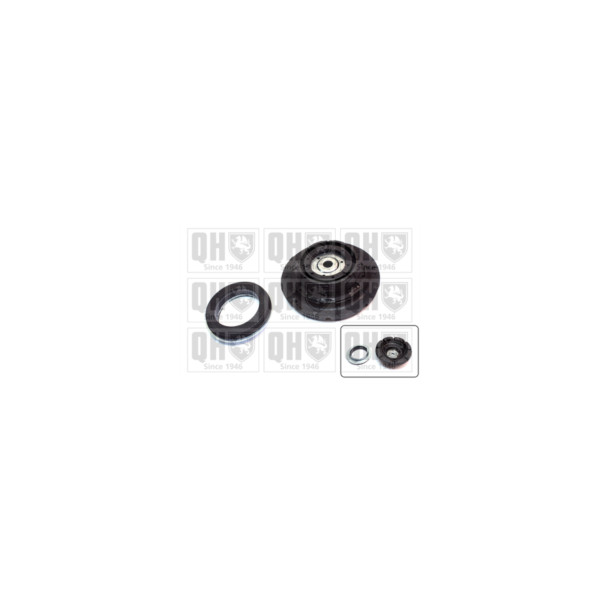 Suspension Strut Repair Kit image