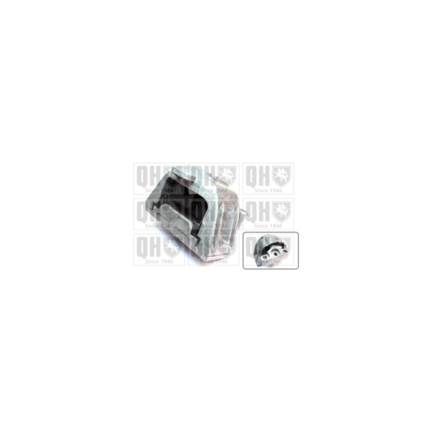 Engine/Transmission Bush/Mount image