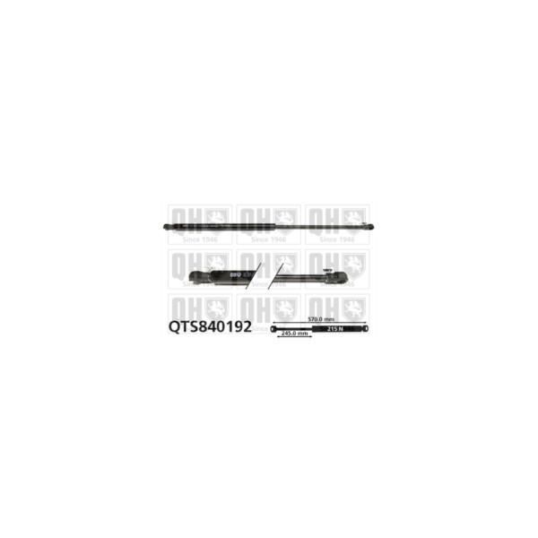 Gas Spring image