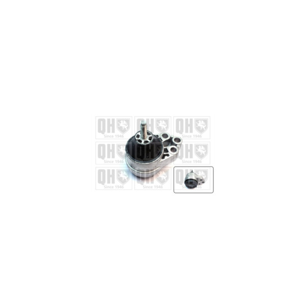 Engine/Transmission Bush/Mount image
