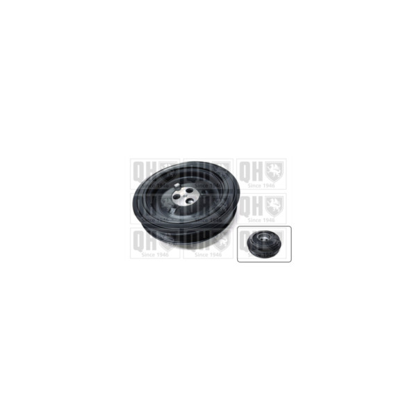 Torsion Vibration Damper image