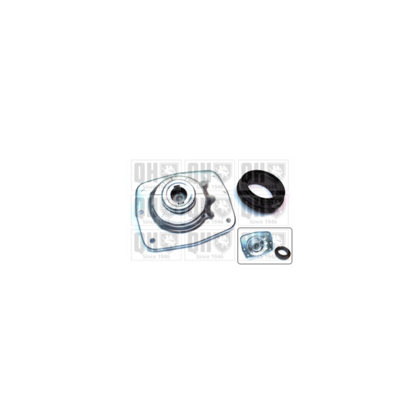Suspension Strut Repair Kit image
