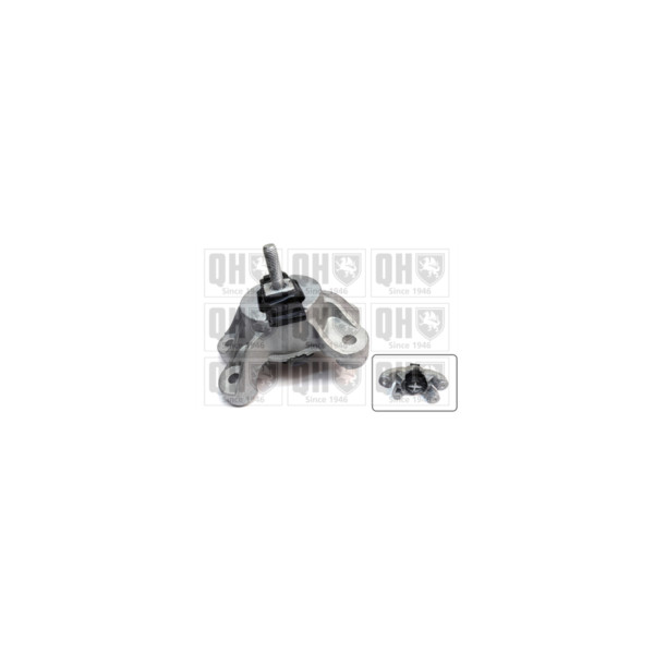 Engine/Transmission Bush/Mount image