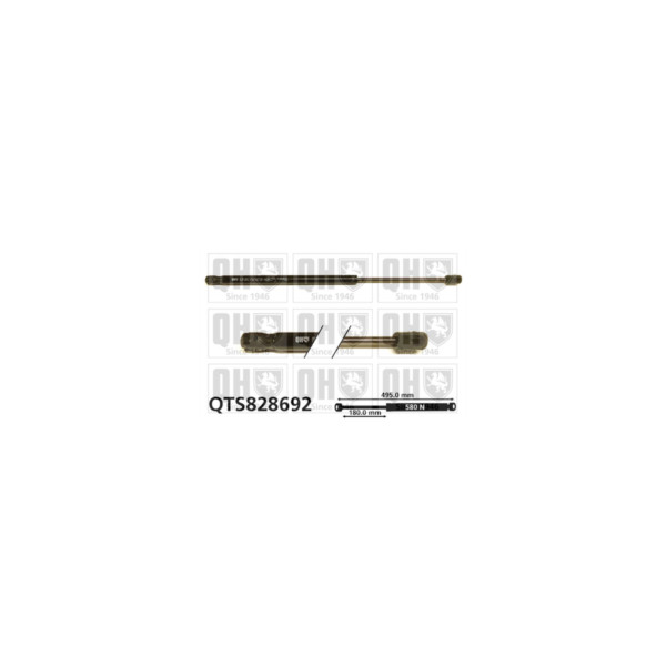 Gas Spring image